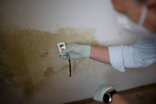 Best Attic Mold Removal  in Camp Croft, SC